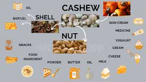 Other Image 5